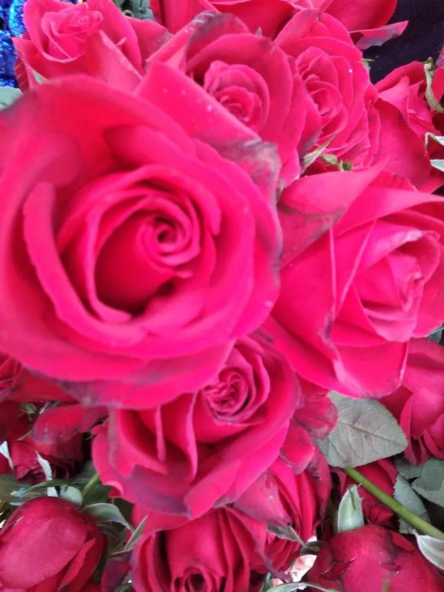 合肥步行街李鸿章故居介绍（李鸿章故居及周边景点）(70)