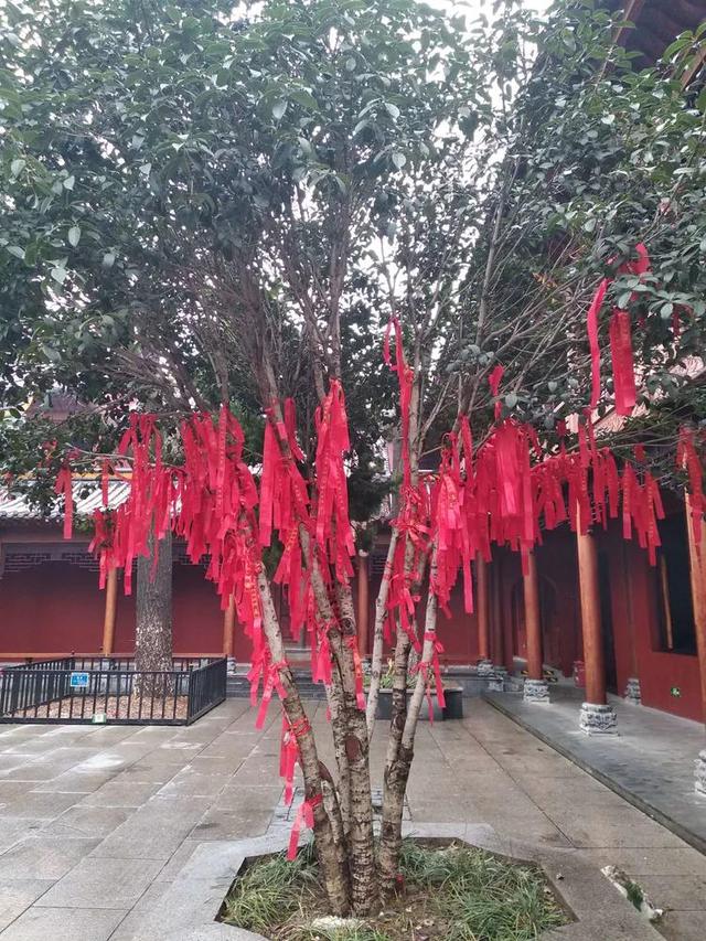 合肥步行街李鸿章故居介绍（李鸿章故居及周边景点）(57)