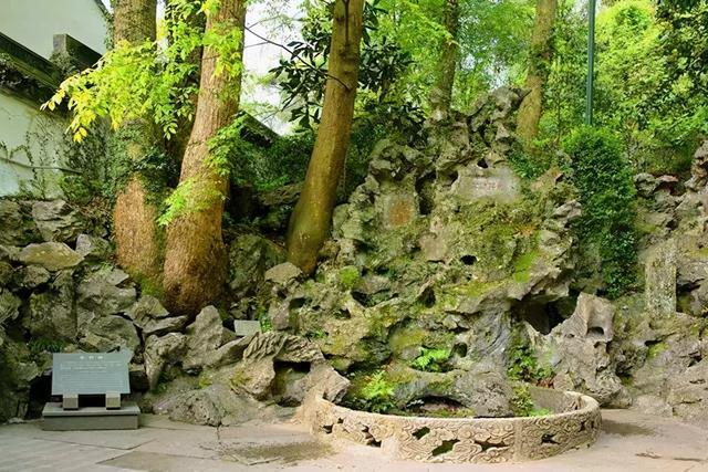 杭州最有名的龙井茶（产于杭州西湖之滨的茶中至味）(3)