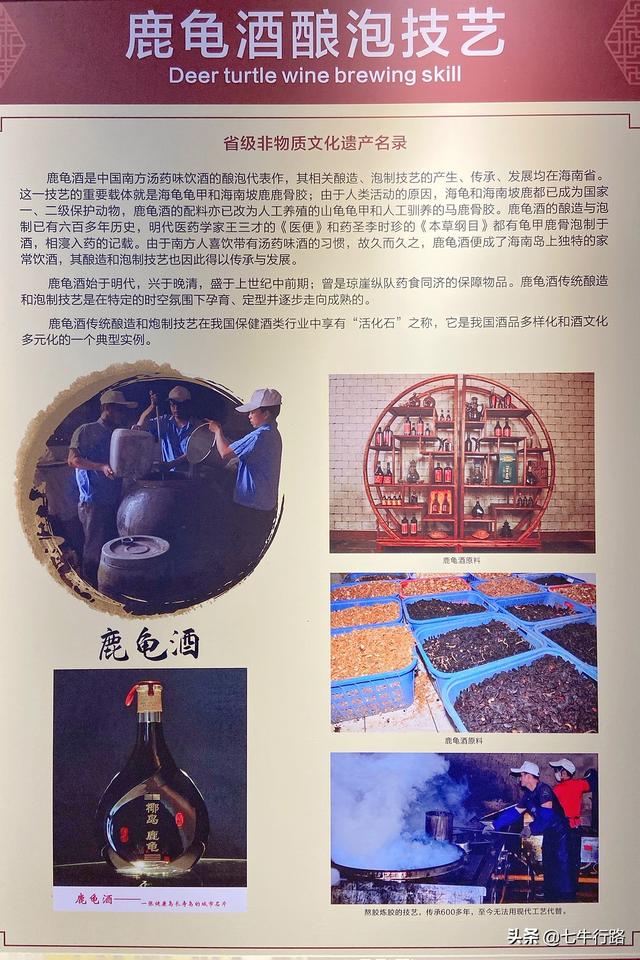 海南环岛自驾游五日游(攻略03海南也就看海)(44)