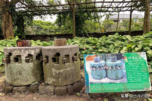 海南环岛自驾游五日游(攻略03海南也就看海)(7)