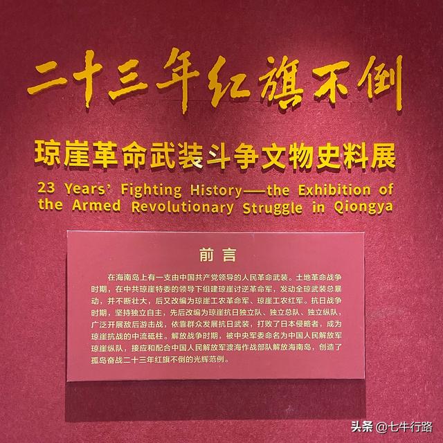海南环岛自驾游五日游(攻略03海南也就看海)(57)