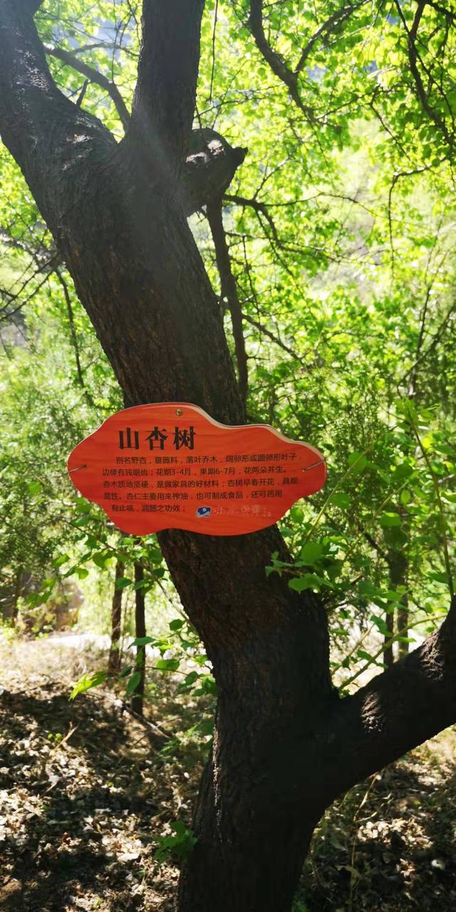 北京门头沟龙门涧大峡谷景区（北京怀柔幽谷神潭景区游览攻略）(25)