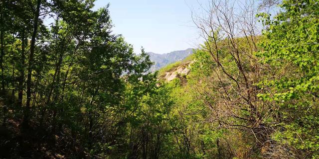 北京门头沟龙门涧大峡谷景区（北京怀柔幽谷神潭景区游览攻略）(69)