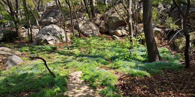 北京门头沟龙门涧大峡谷景区（北京怀柔幽谷神潭景区游览攻略）(61)
