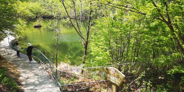 北京门头沟龙门涧大峡谷景区（北京怀柔幽谷神潭景区游览攻略）(44)