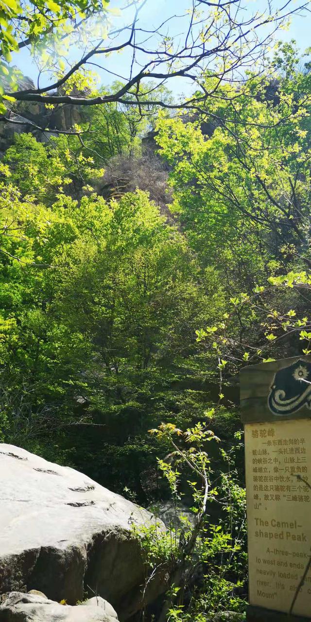 北京门头沟龙门涧大峡谷景区（北京怀柔幽谷神潭景区游览攻略）(63)