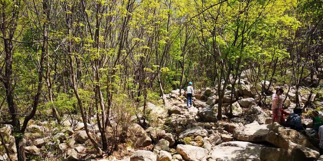 北京门头沟龙门涧大峡谷景区（北京怀柔幽谷神潭景区游览攻略）(60)