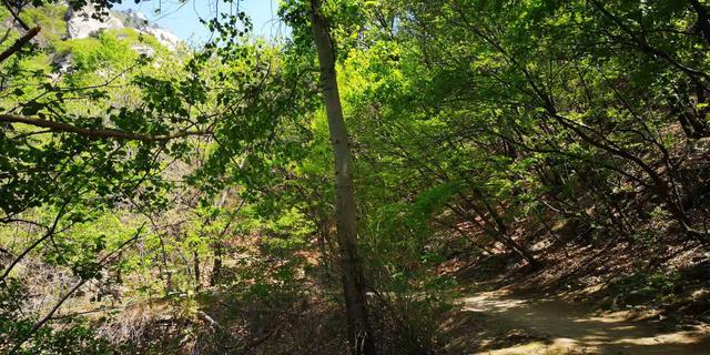 北京门头沟龙门涧大峡谷景区（北京怀柔幽谷神潭景区游览攻略）(58)