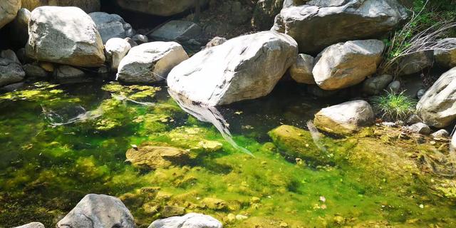 北京门头沟龙门涧大峡谷景区（北京怀柔幽谷神潭景区游览攻略）(10)