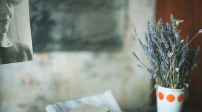 抖音文案短句干净治愈,文案短句干净治愈图1