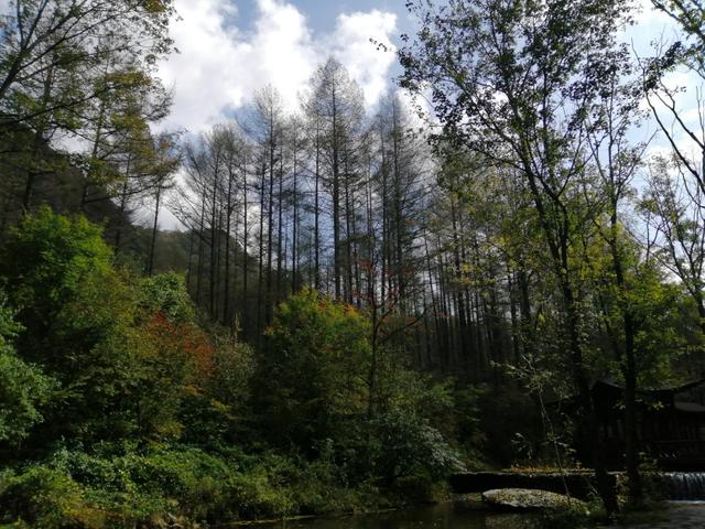 本溪老边沟旅游攻略（本溪老边沟一日游）(17)