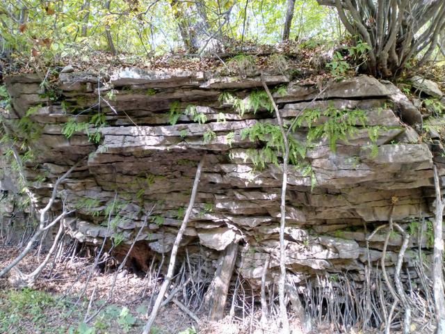 本溪老边沟旅游攻略（本溪老边沟一日游）(22)