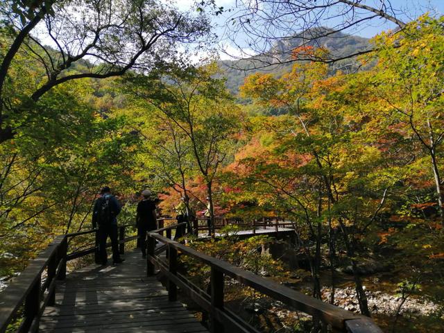 本溪老边沟旅游攻略（本溪老边沟一日游）(16)