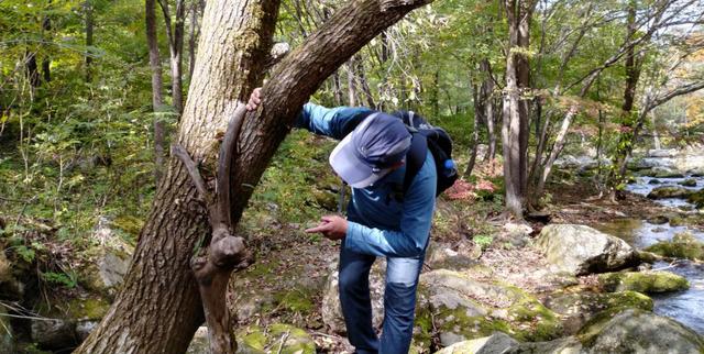 本溪老边沟旅游攻略（本溪老边沟一日游）(13)