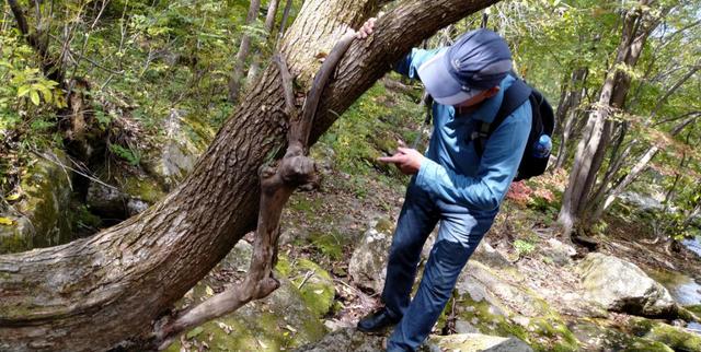 本溪老边沟旅游攻略（本溪老边沟一日游）(14)