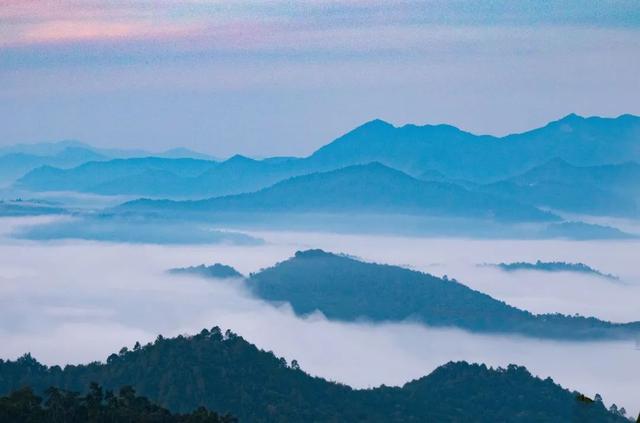 云南普洱茶马古道普洱茶市场（来最美茶城云南普洱）(5)