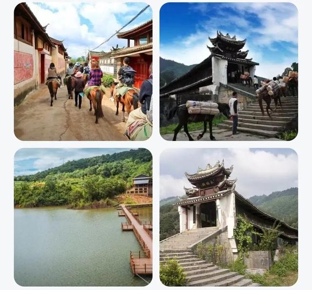 云南普洱茶马古道普洱茶市场（来最美茶城云南普洱）(45)