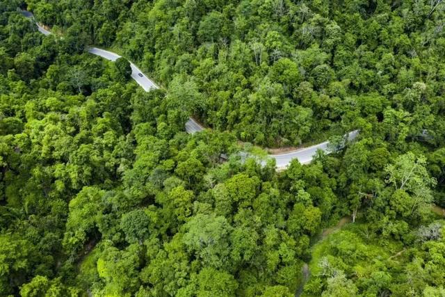 云南普洱茶马古道普洱茶市场（来最美茶城云南普洱）(46)