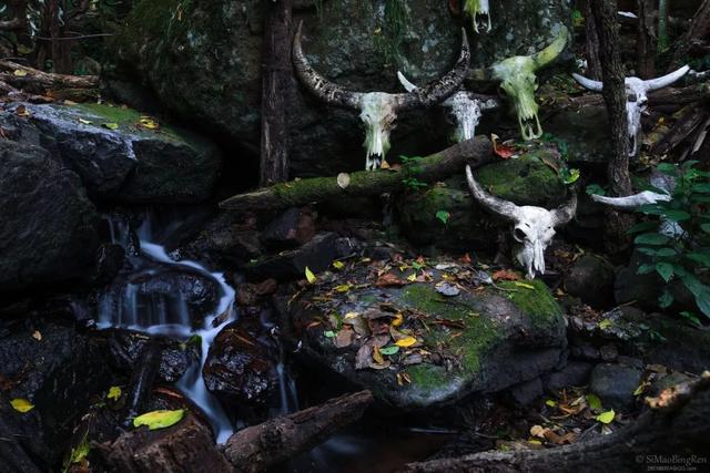 云南普洱茶马古道普洱茶市场（来最美茶城云南普洱）(9)