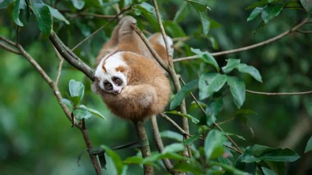 云南普洱茶马古道普洱茶市场（来最美茶城云南普洱）(41)