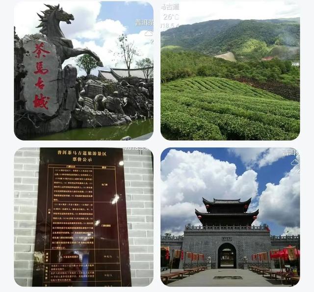 云南普洱茶马古道普洱茶市场（来最美茶城云南普洱）(42)