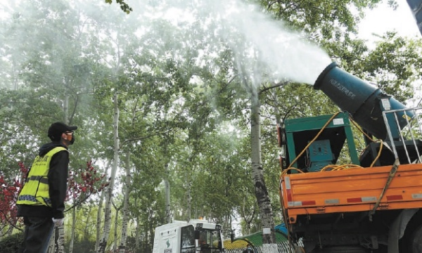 为啥空气中飘着柳絮,春天快过去的时候空中会飘柳絮柳絮是指什么东西图3
