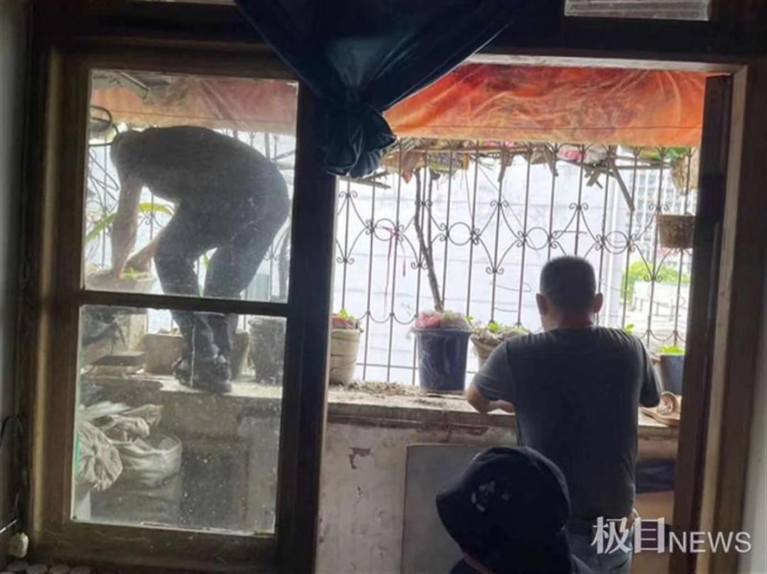 离家六年阳台长出两棵大树（阳台外长了棵树怎么回事）