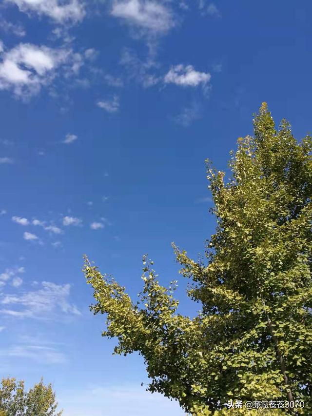 洛阳中原第一大景点（最美不过故乡洛阳南部一明珠）(23)