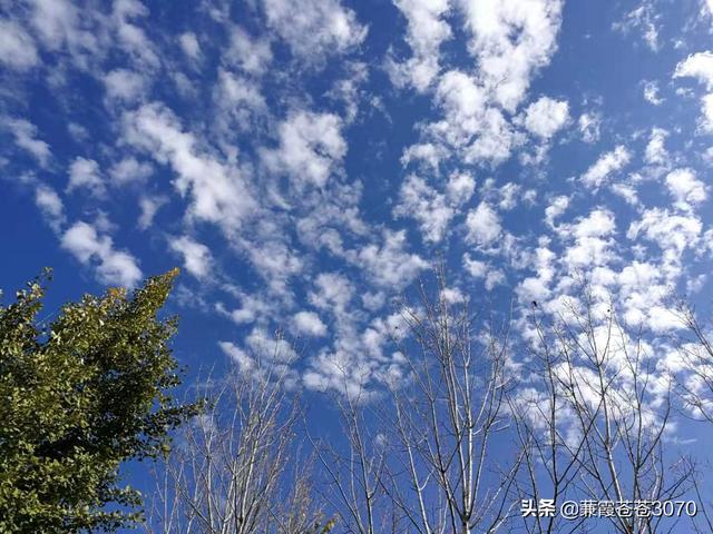 洛阳中原第一大景点（最美不过故乡洛阳南部一明珠）(22)