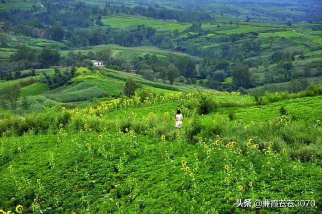 洛阳中原第一大景点（最美不过故乡洛阳南部一明珠）(2)