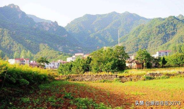 洛阳中原第一大景点（最美不过故乡洛阳南部一明珠）(18)