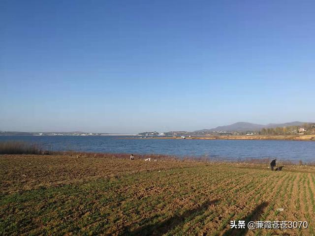 洛阳中原第一大景点（最美不过故乡洛阳南部一明珠）(24)