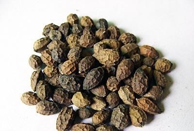 中药鸦胆子起什么作用