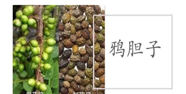鸦胆子是什么药材