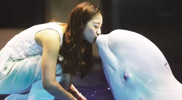 哈尔滨必看景点（推荐收藏哈尔滨游玩景点介绍）(4)