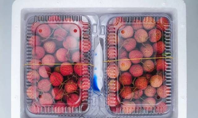 荔枝能放冰箱里保鲜吗