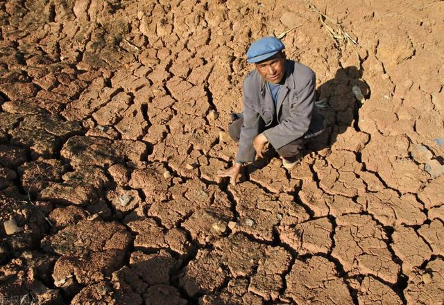 全球变暖导致高温天气危害（全球变暖持续发生）(2)