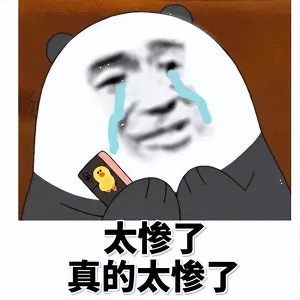 演员王东个人简历（孩子未满1岁就多次失联）(36)