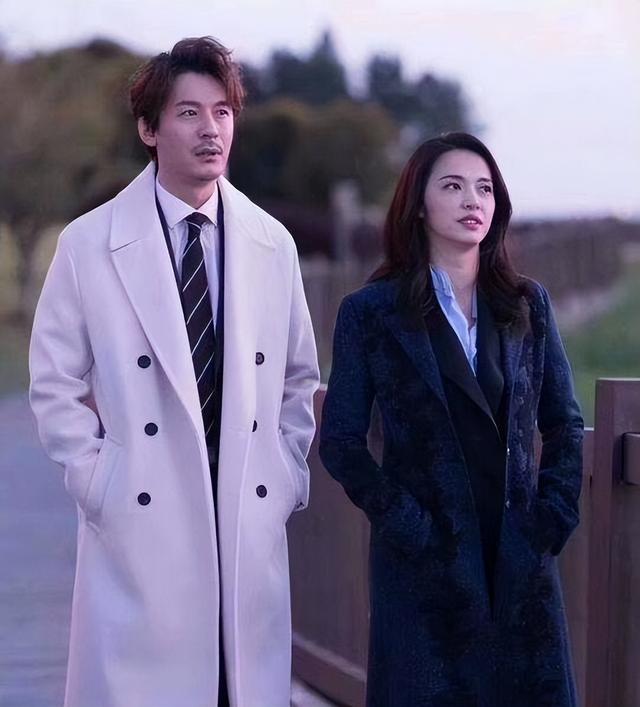 演员王东个人简历（孩子未满1岁就多次失联）(13)