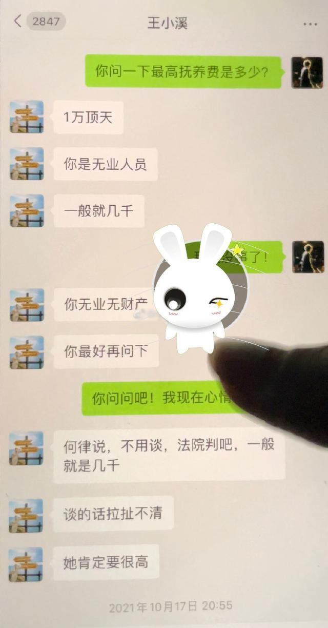 演员王东个人简历（孩子未满1岁就多次失联）(27)