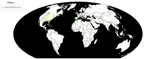 全国各地为何多次出鳄雀鳝(能防治鳄雀鳝么)(5)