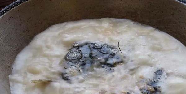 怎样炖鱼头不腥又好吃,鱼头汤怎么做才不腥而且汤白图8