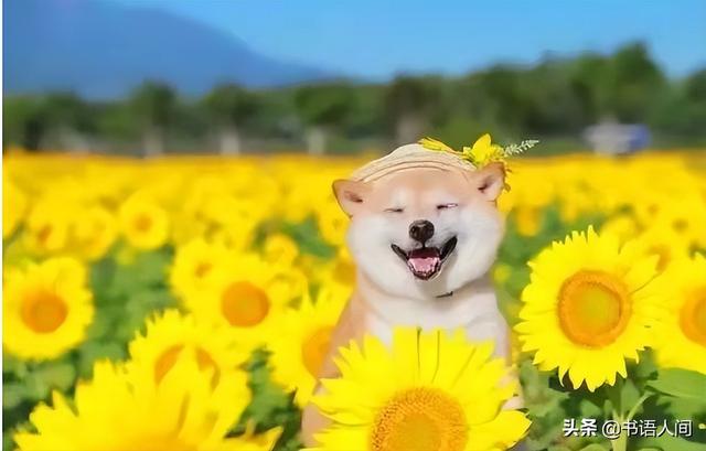 生活收纳整理有妙招（12个居家整理方法）(16)