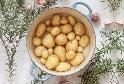 小孩每天早上营养早餐吃什么（早餐孩子吃这9种食物最好）(3)