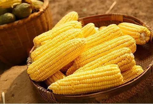 小孩每天早上营养早餐吃什么（早餐孩子吃这9种食物最好）(4)