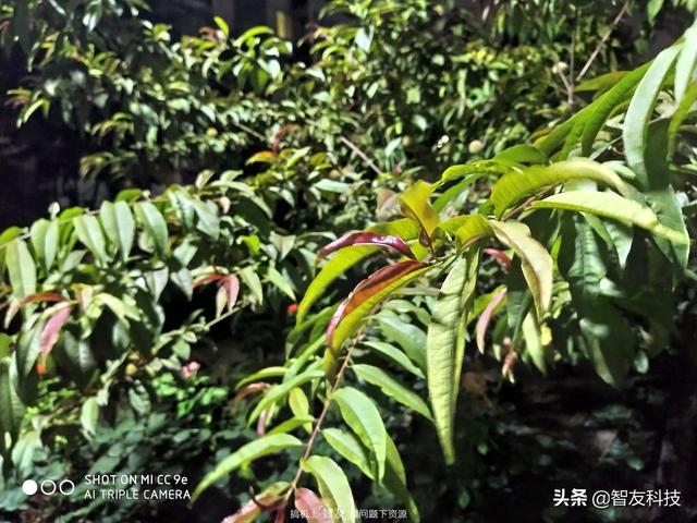 小米cc9e全面测评（来自自拍偏科生）(27)