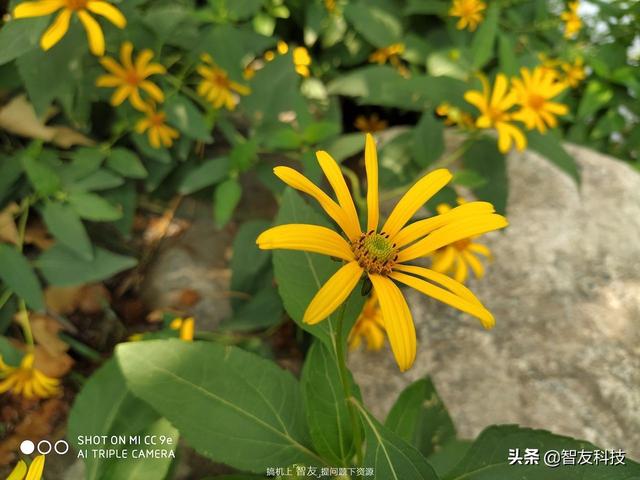 小米cc9e全面测评（来自自拍偏科生）(19)