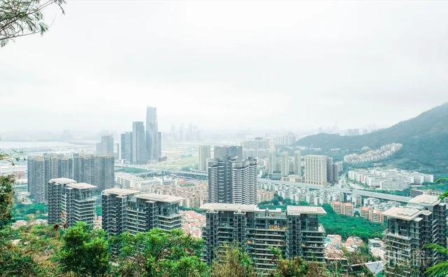 深圳哪里最多本地人（深圳原来这么大大大大大）(22)