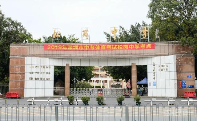 深圳哪里最多本地人（深圳原来这么大大大大大）(56)